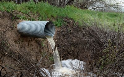 Restaurant Essential: Why Hydro-Jetting Needs to Be Bi-Annual